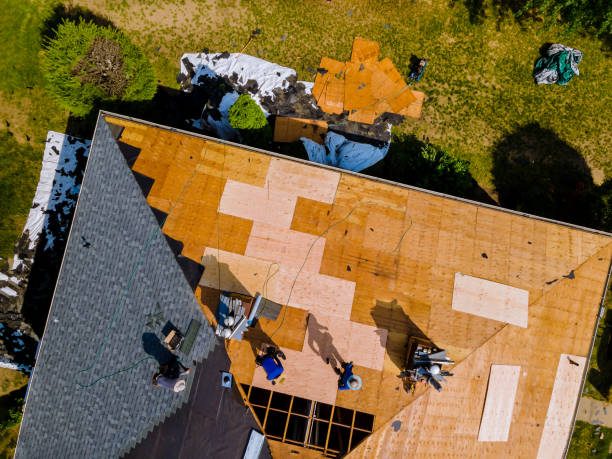 Best Roof Maintenance Services  in Shelton, WA