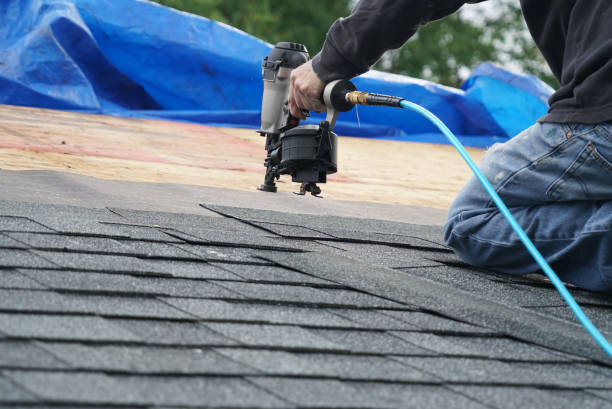 Best Roof Gutter Cleaning  in Shelton, WA