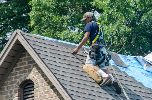 Professional Roofing Contractor in Shelton, WA